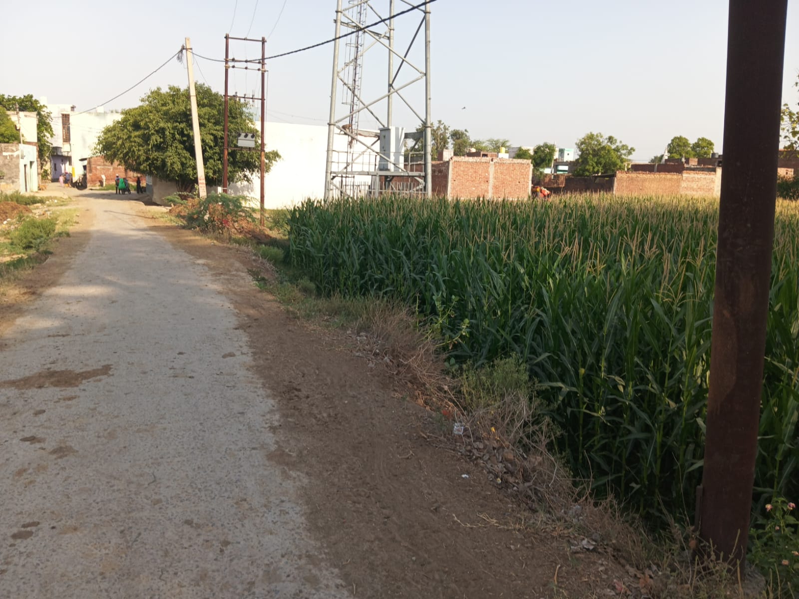 Plot for sale in Garhi Tamana — photo 1