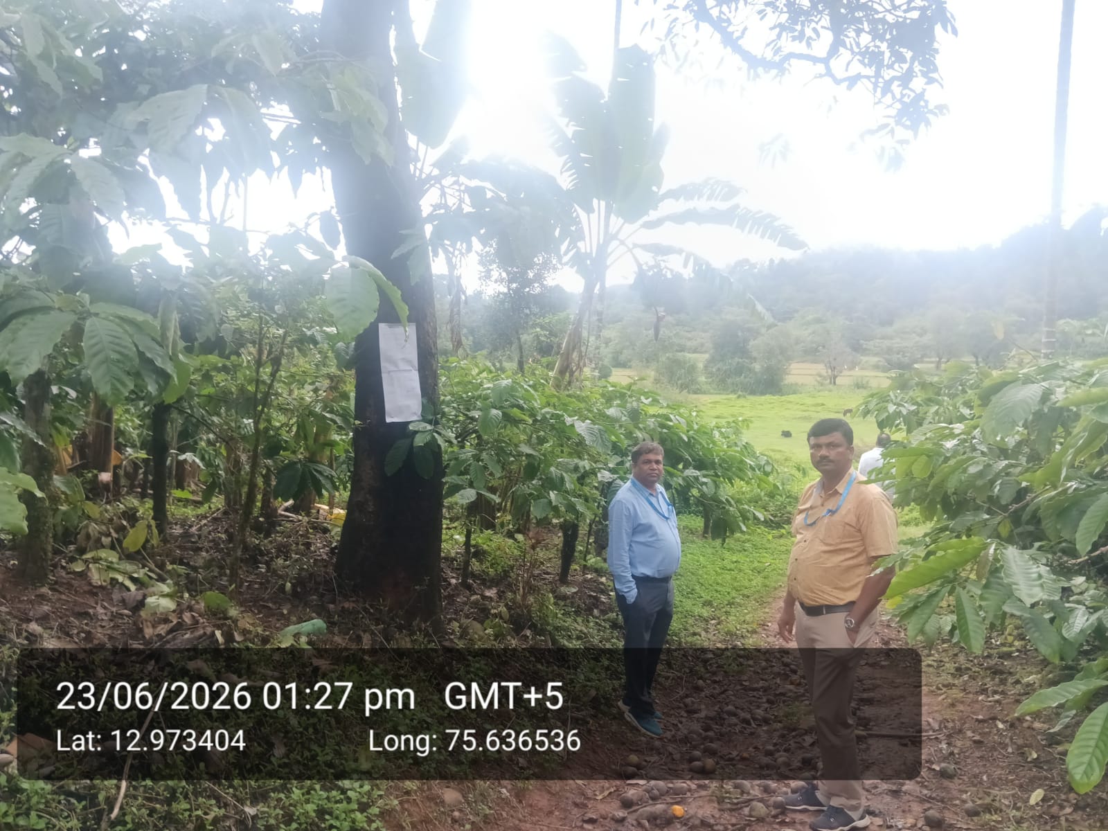 COFFEE PLANTATION for sale in KUMARVALLY VILLAGE Sakleshpur — photo 2