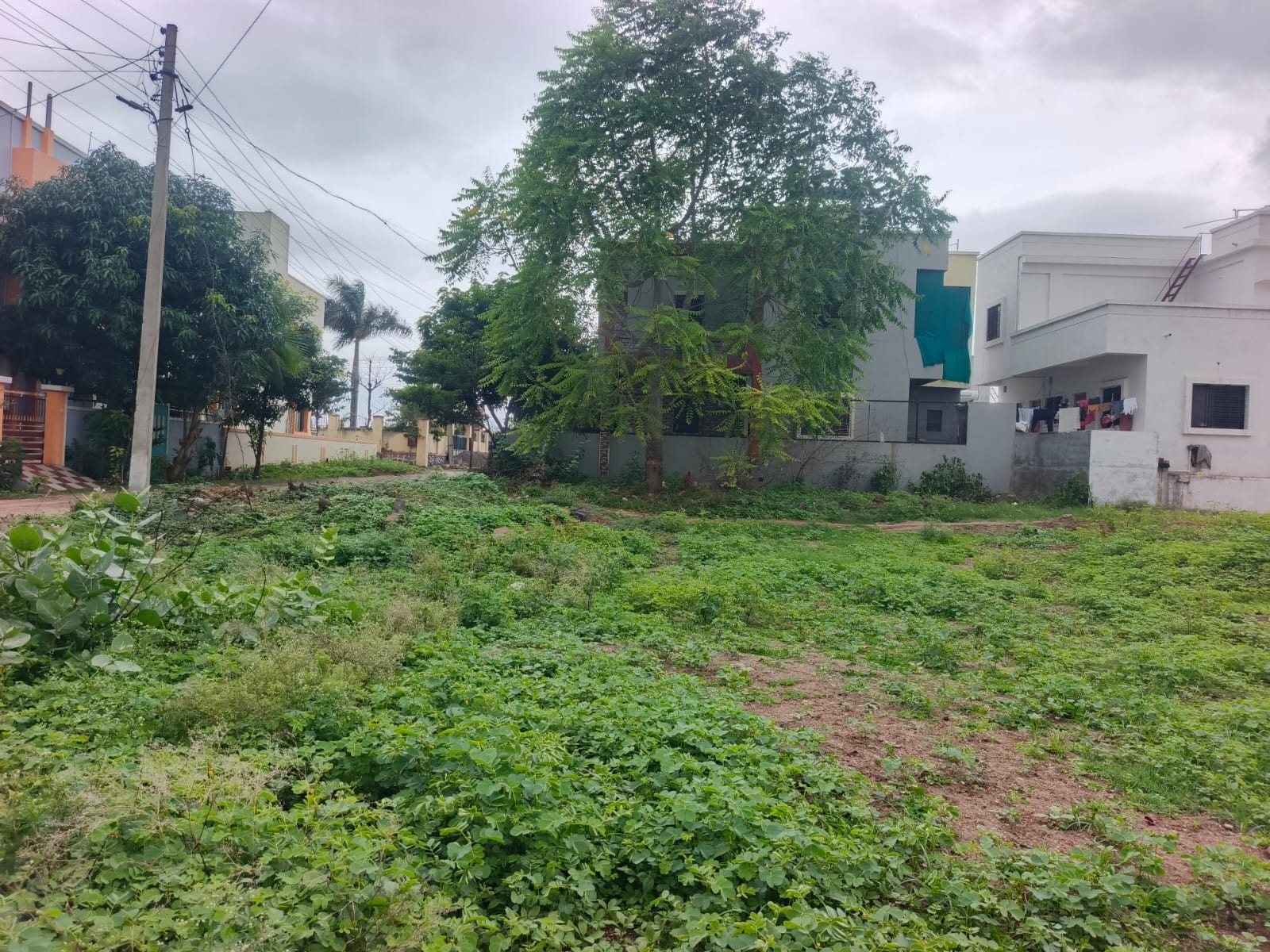 OPEN PLOT for sale in Deola — photo 4