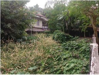 2992 square feet Plot for sale in Parakkad village, Thrissur Adat — photo 1