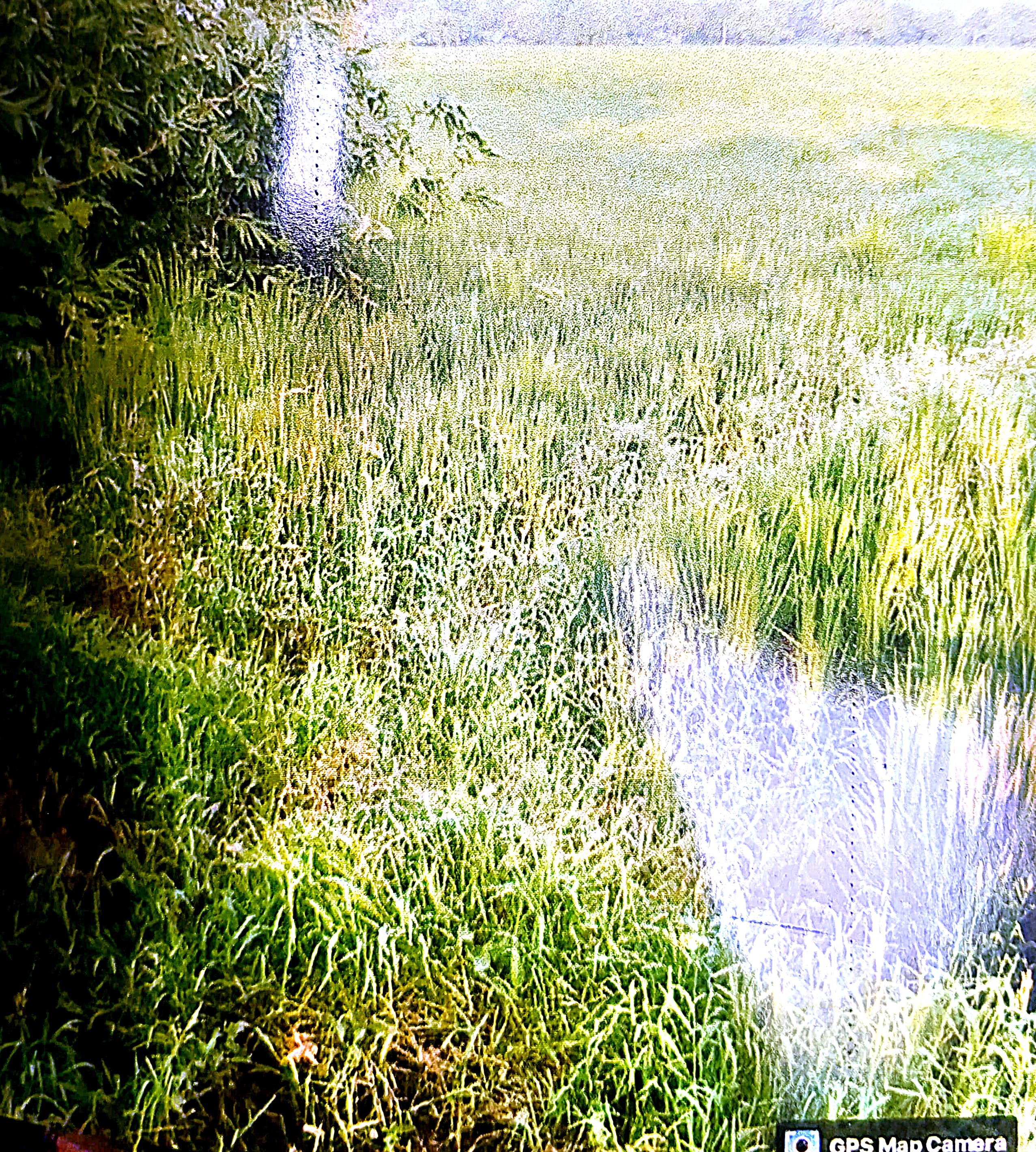 6969.6 square feet Plot for sale in Arrah — photo 1