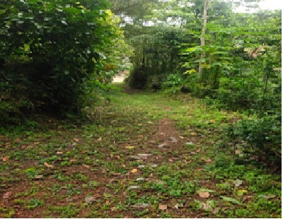 Plot for sale in THOLICODE VILLAGE, NEDUMANGAD TALUK Karakulam — photo 1
