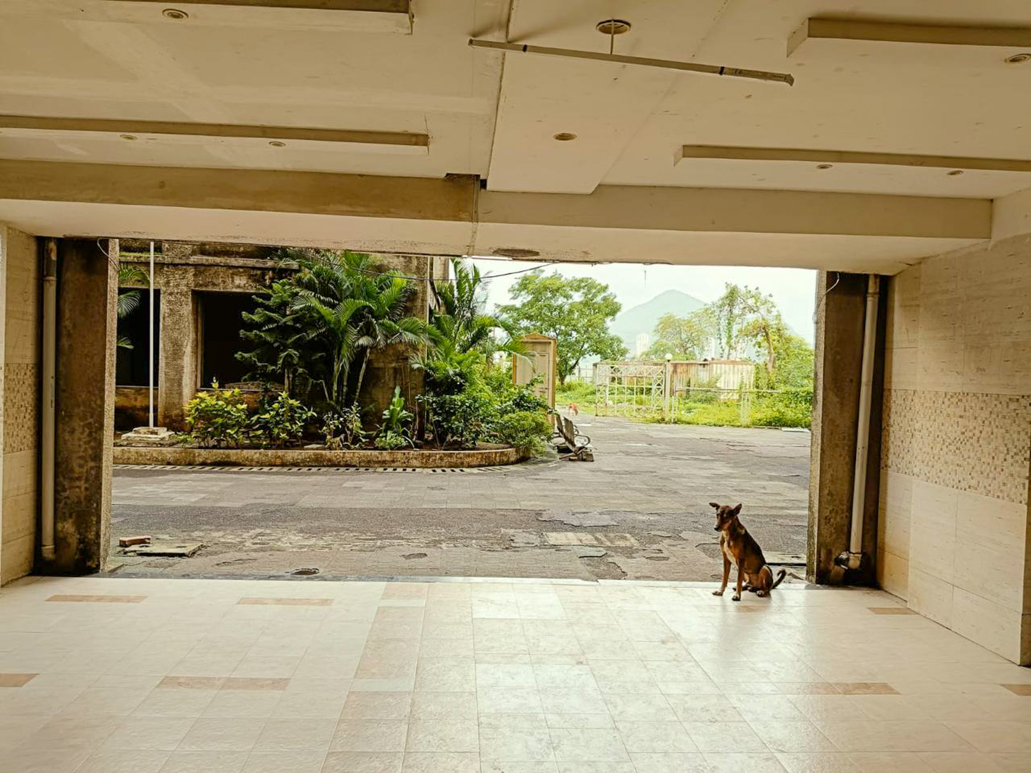 1 BHK Flat for sale in Kalyan — photo 7