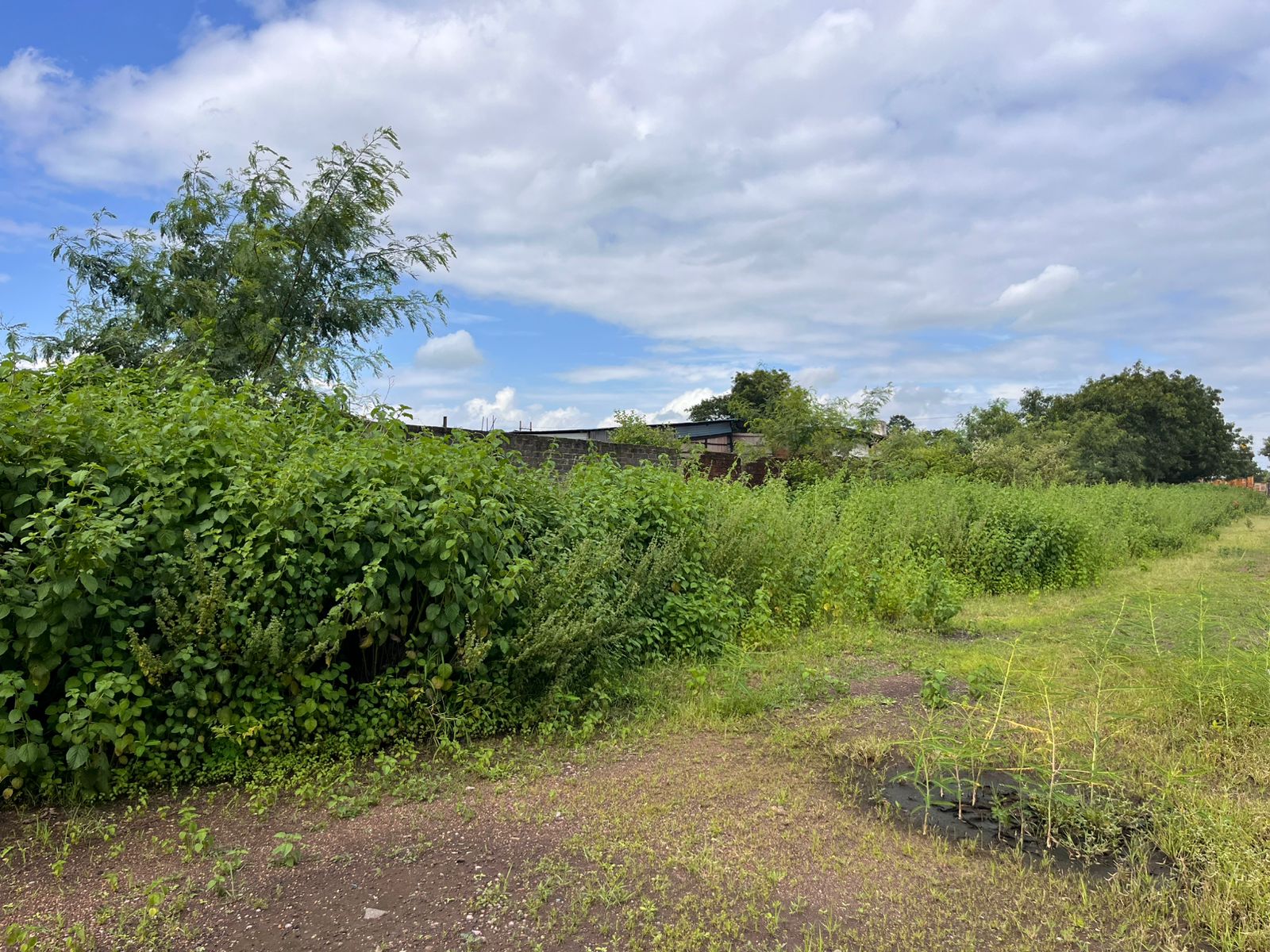 Industrial Plot with Factory Building for sale in Aklordih Bhilai — photo 11