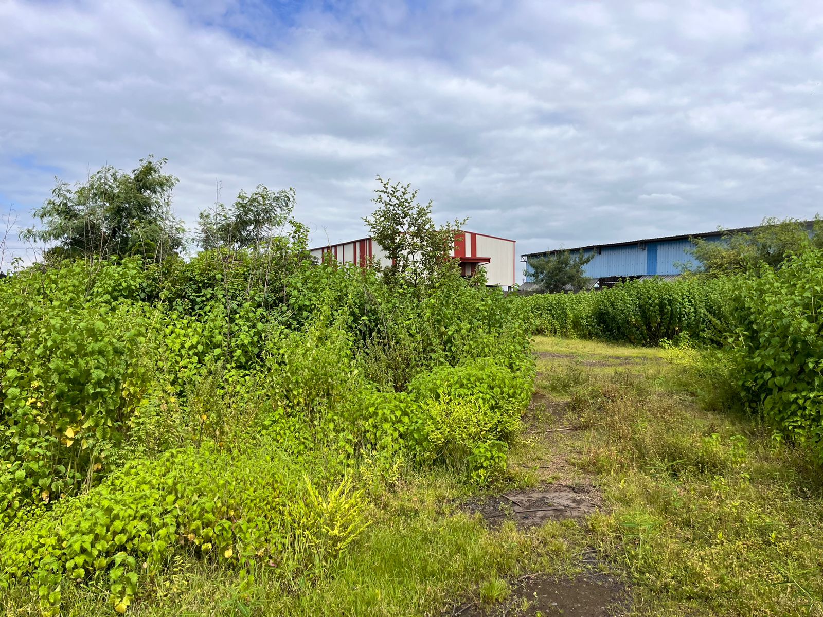 Industrial Plot with Factory Building for sale in Aklordih Bhilai — photo 8