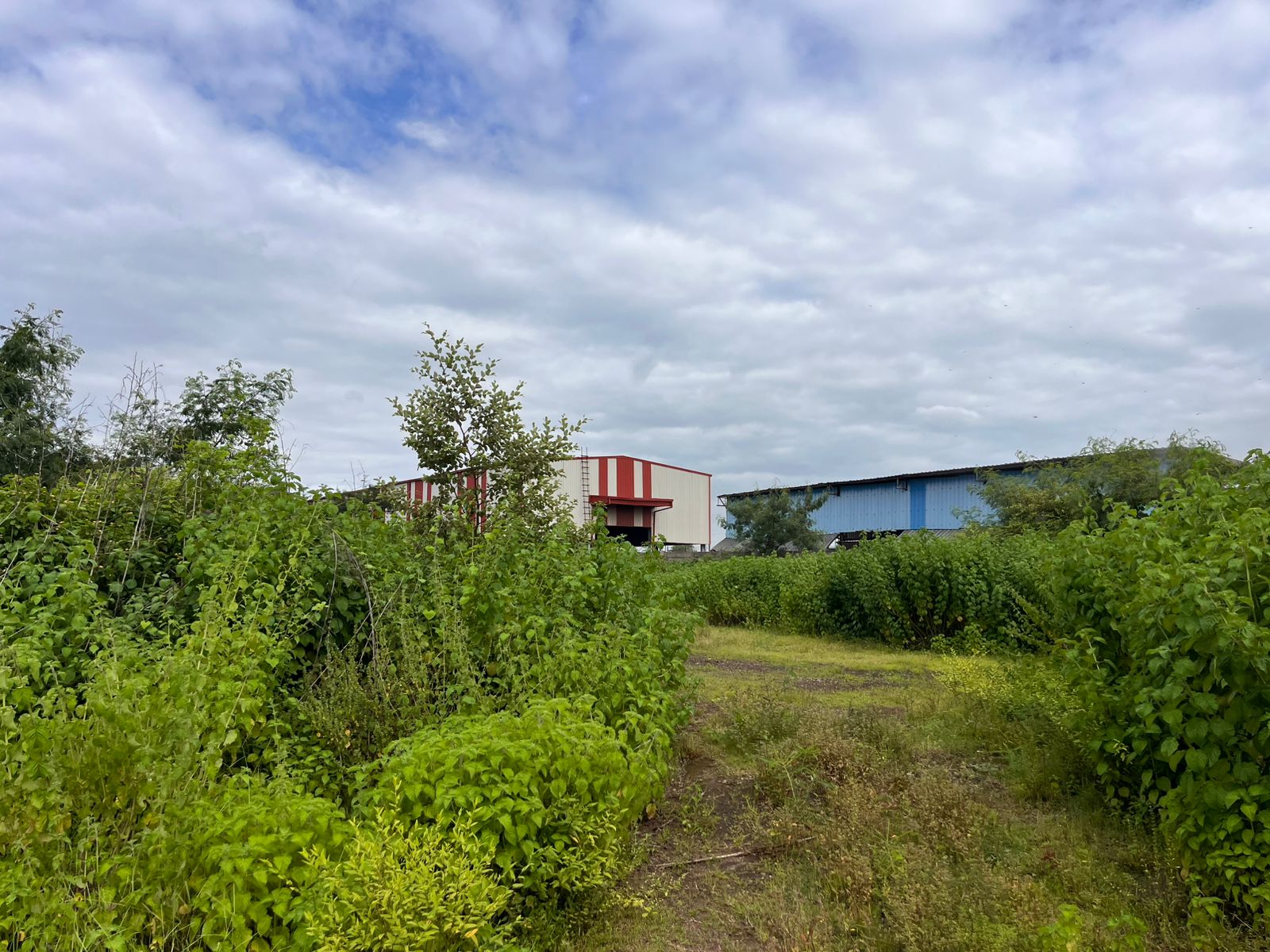 Industrial Plot with Factory Building for sale in Aklordih Bhilai — photo 9