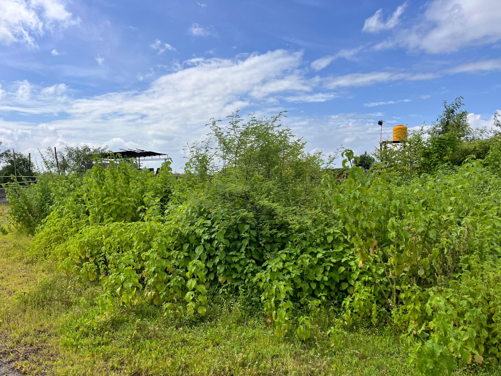 Industrial Plot with Factory Building for sale in Aklordih Bhilai — photo 6