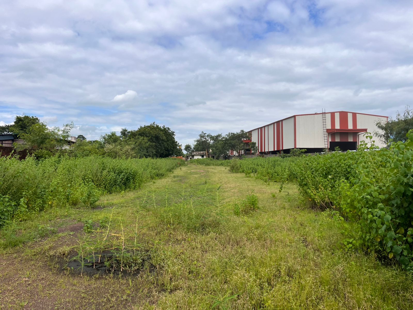 Industrial Plot with Factory Building for sale in Aklordih Bhilai — photo 1