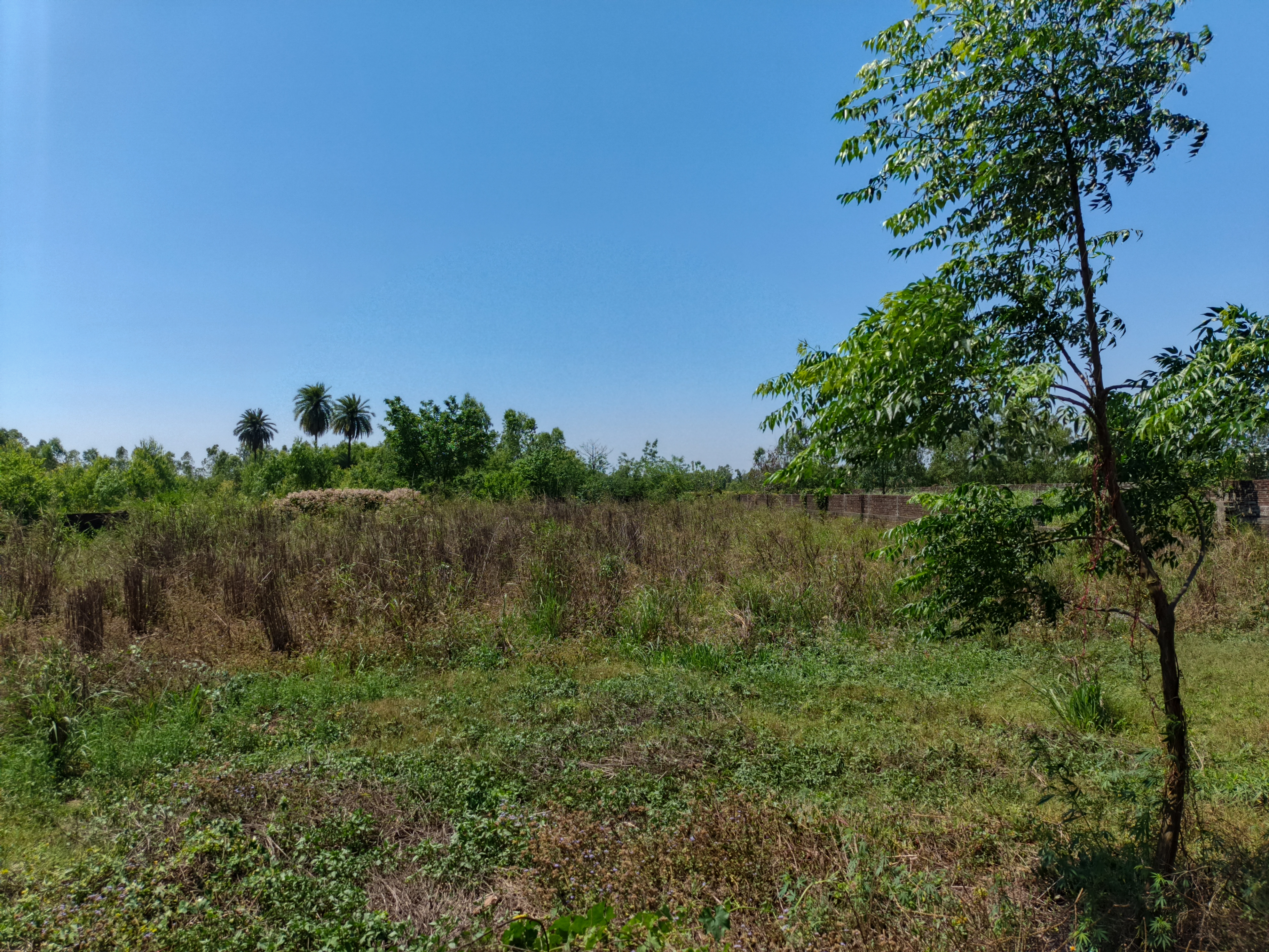 Industrial Shed for sale in Jaspur — photo 3