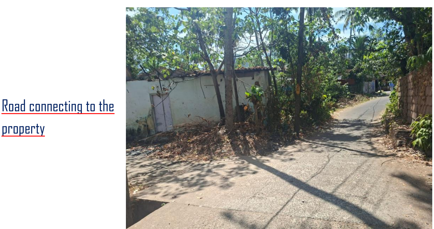 Plot for sale in CHENGOOR Adichanalloor — photo 2