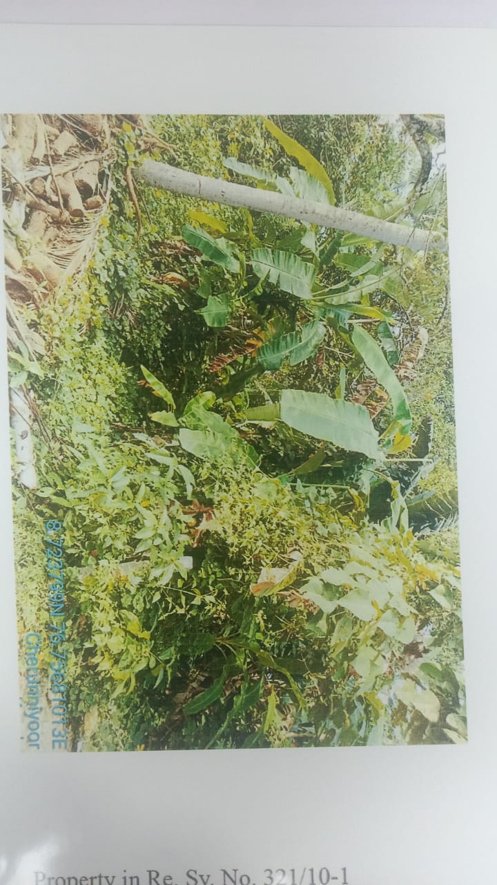 VACCANT LAND for sale in Punalur — photo 1