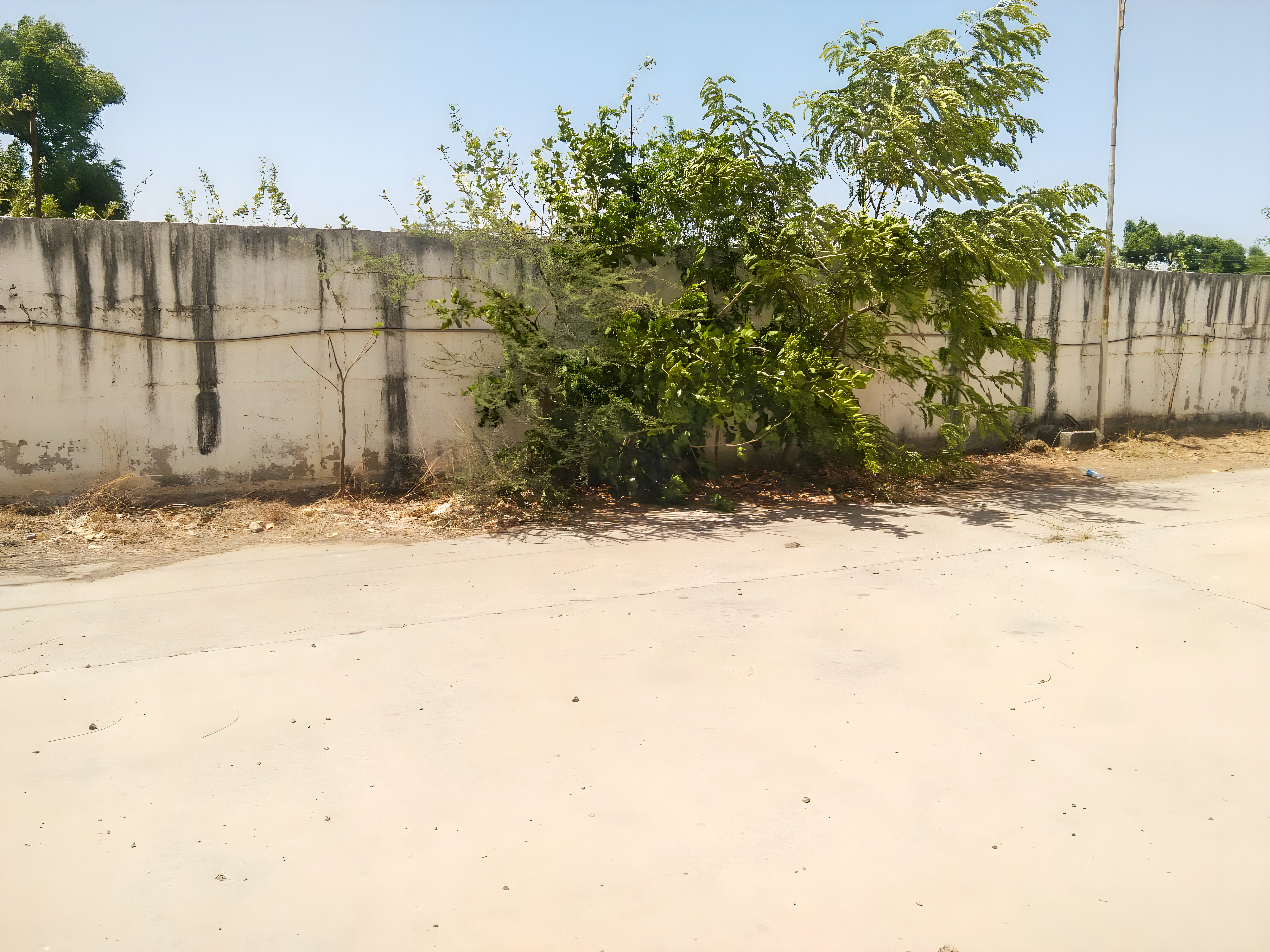 30655 square meter Industrial Plot with Factory Building for sale in Chora, Deesa Dhanera — photo 20