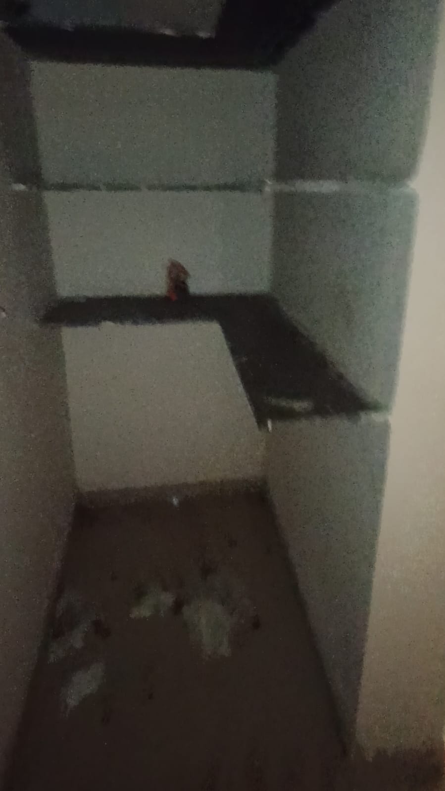 65.89 square meter Flat for sale in Flat No.-505, 5th Floor, Avalon  Palace, Near Rashi Hill, Dashera Tekri,Moje Navsari,  Dist Navsari Navsari — photo 3