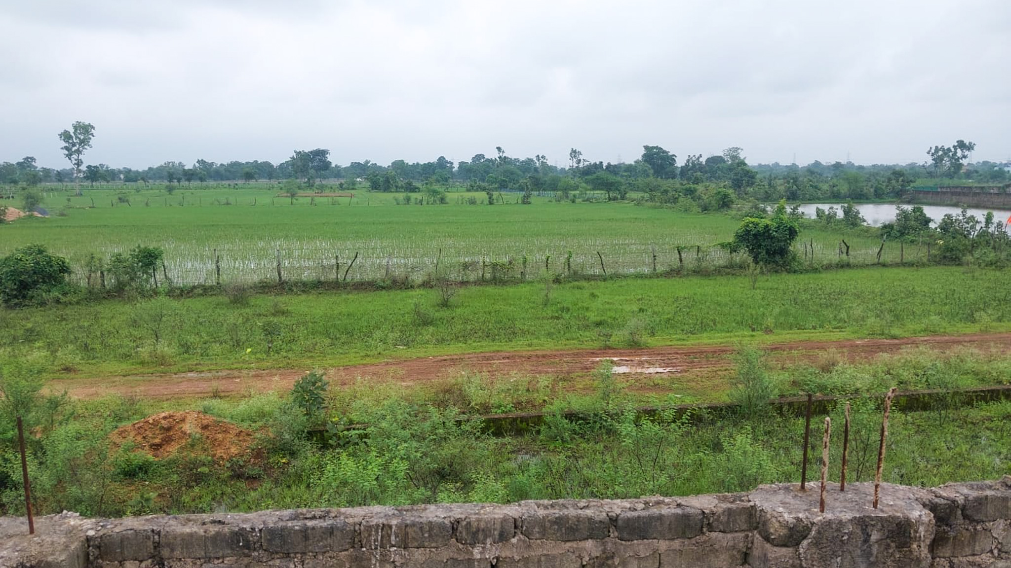 1500 square feet Individual House for sale in Bilaspur Bilaspur — photo 14