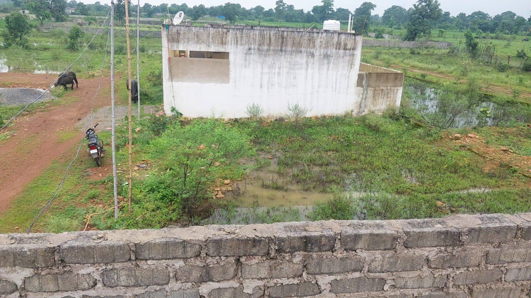 1500 square feet Individual House for sale in Bilaspur Bilaspur — photo 10