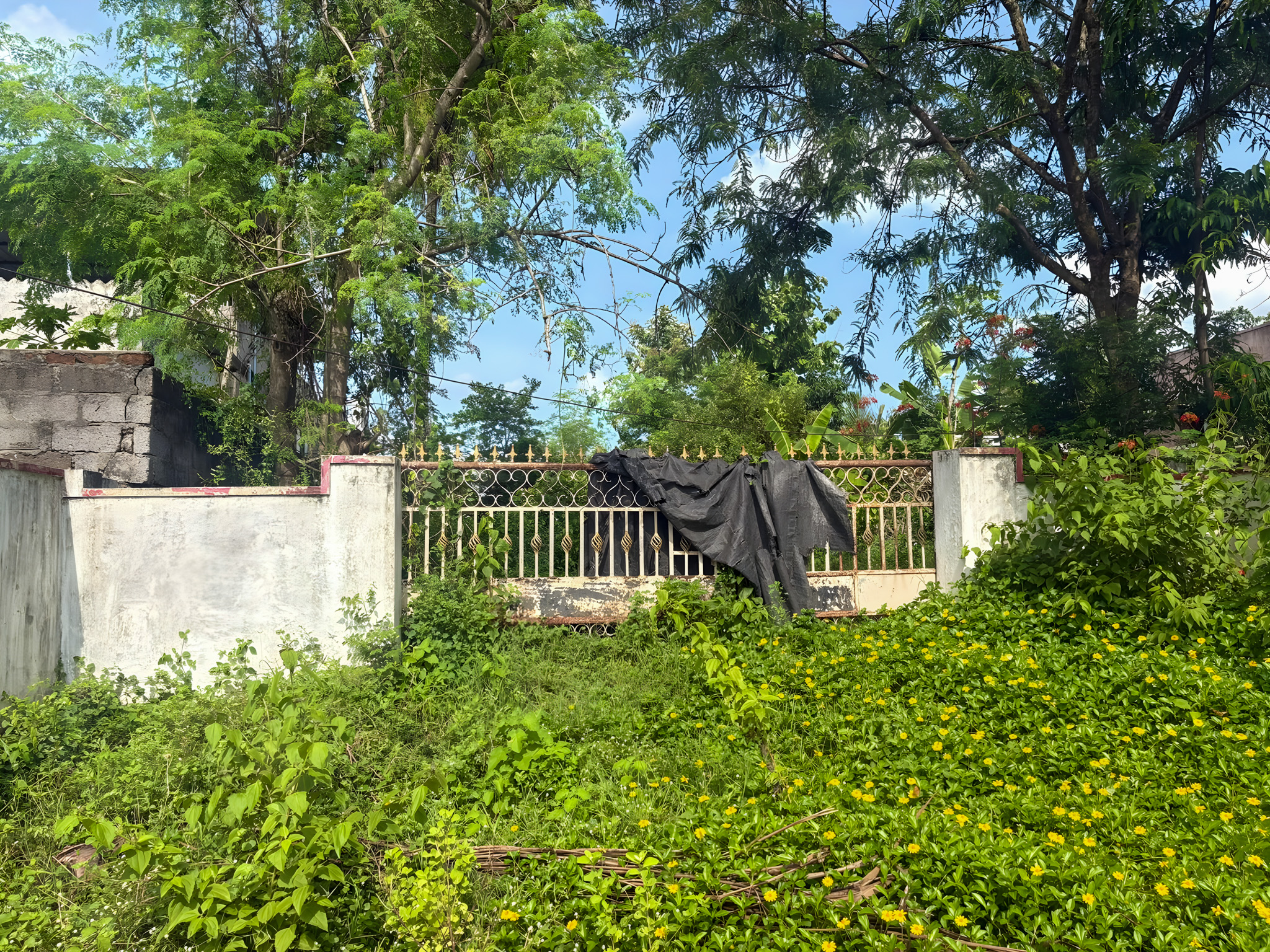 123 square yard Individual House for sale in na, Bethupalli, Sathupalli Sathupally — photo 4