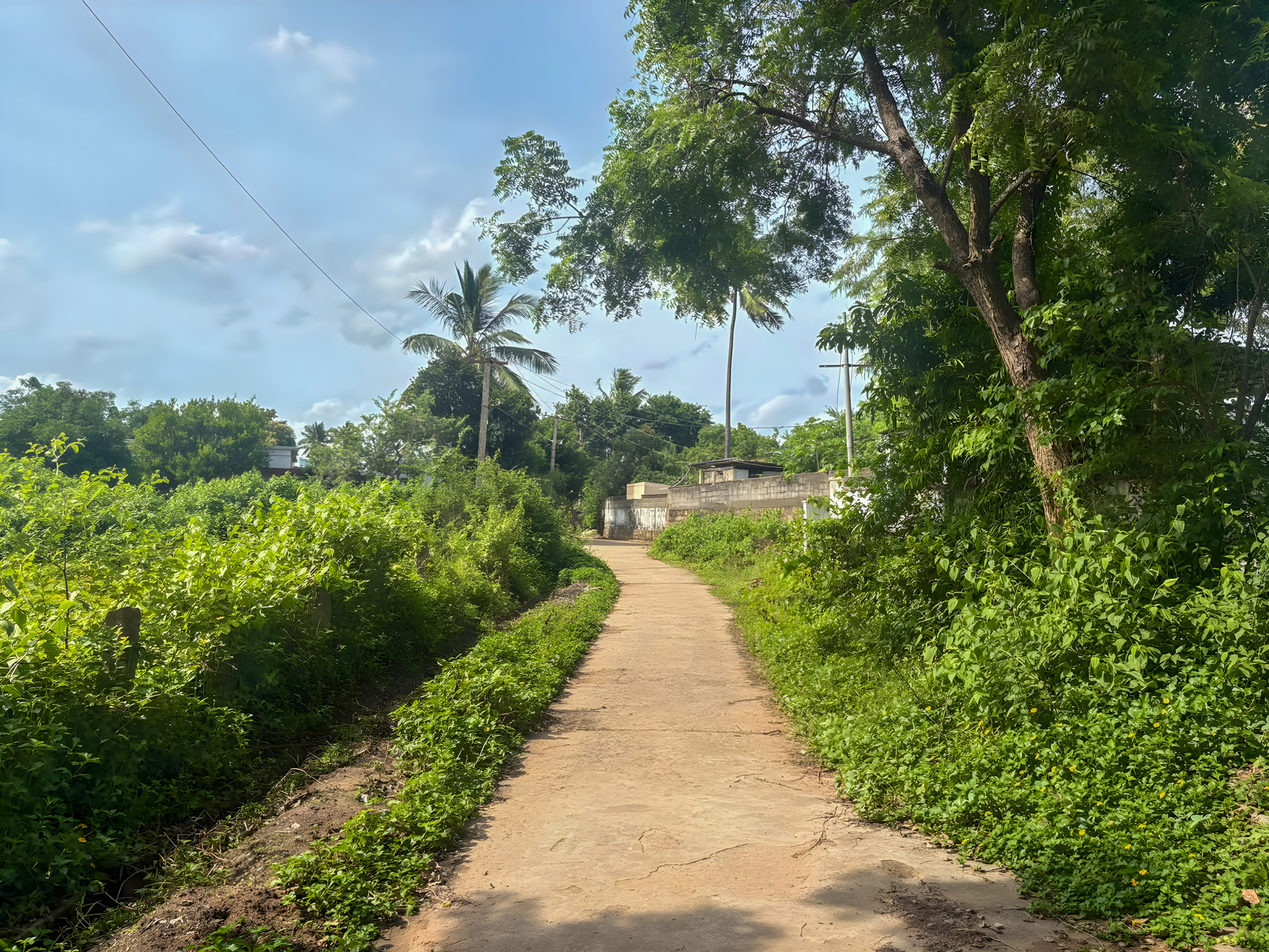 123 square yard Individual House for sale in na, Bethupalli, Sathupalli Sathupally — photo 6
