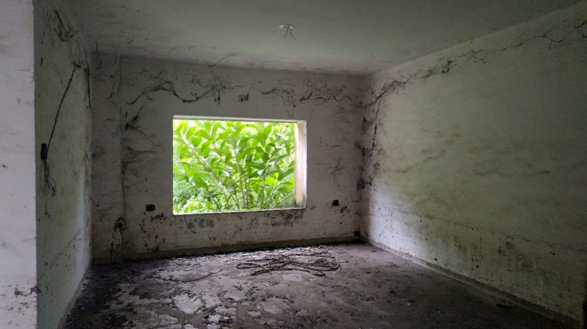 Individual House for sale in Chalthan — photo 1