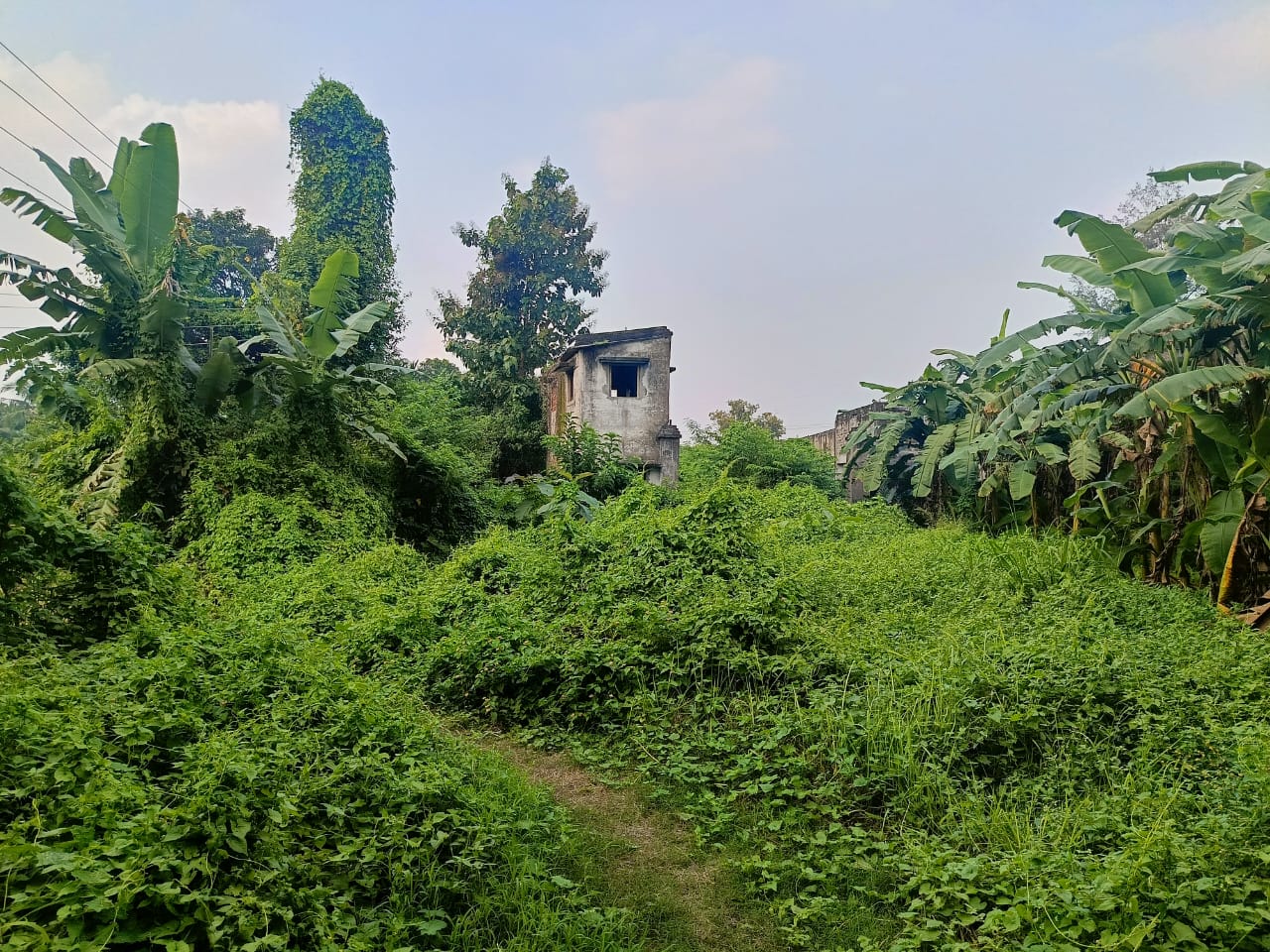 Plot for sale in NADIA Chakdaha — photo 1