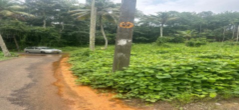 Plot for sale in Malayinkeezhu — photo 1