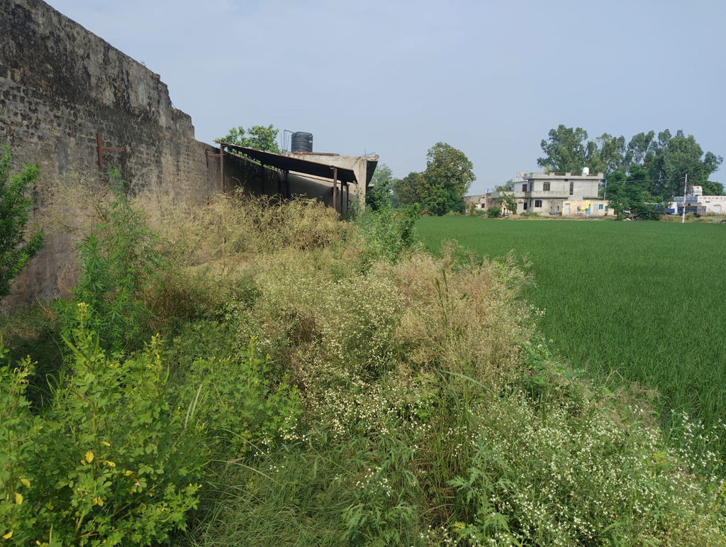 Industrial Plot with Factory Building for sale in Goraya — photo 1