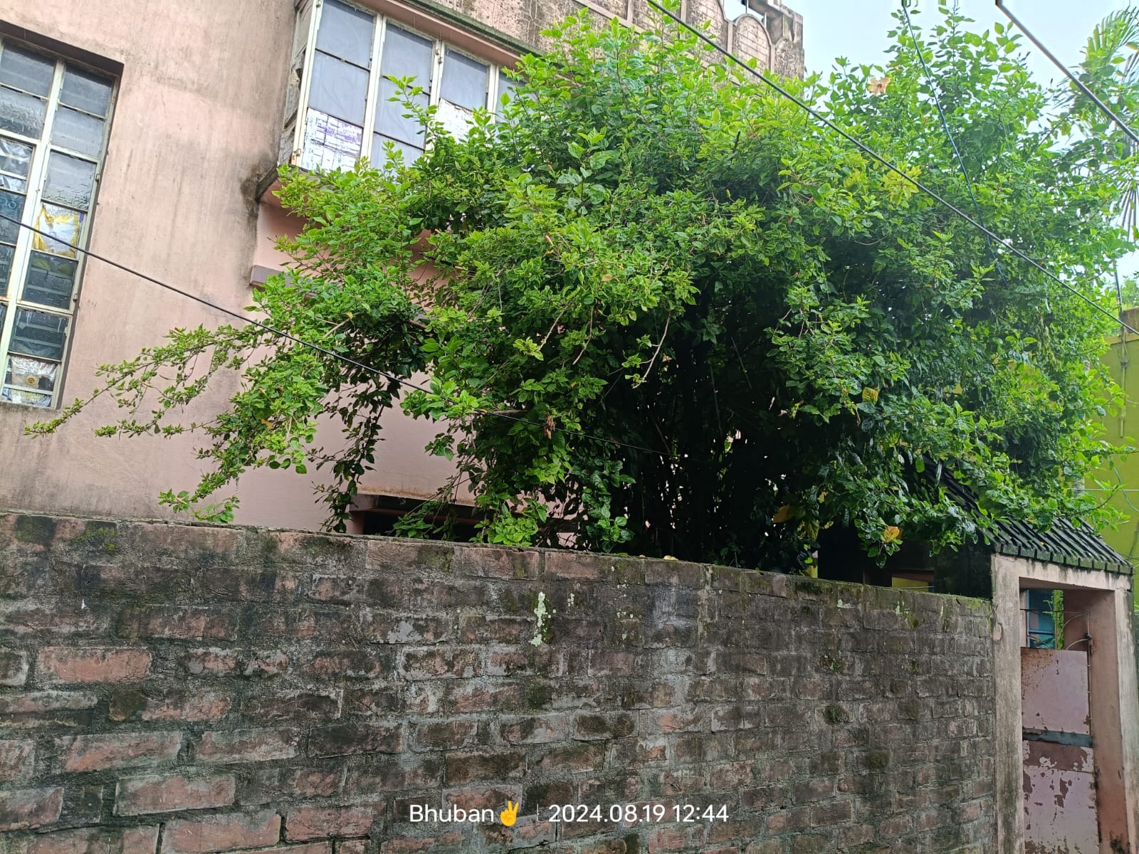 Individual House for sale in Holding no 272 , CHAWK CHANDNI RAJBATI  PO & PS KALNA , PURBA BARDHAMAN , PINCODE 713409 Kalna — photo 3