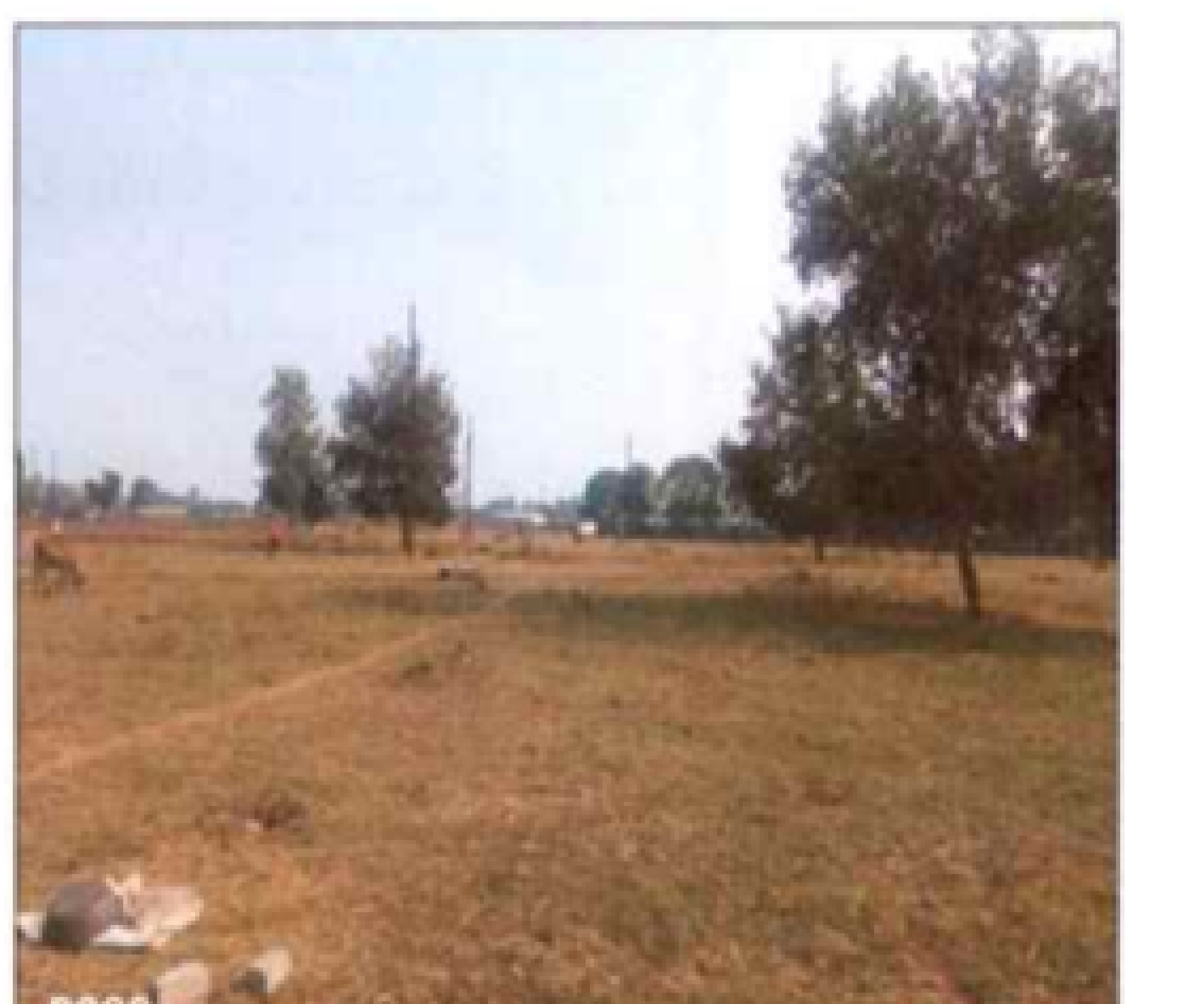 1 BHK Plot for sale in Bhopal — photo 1