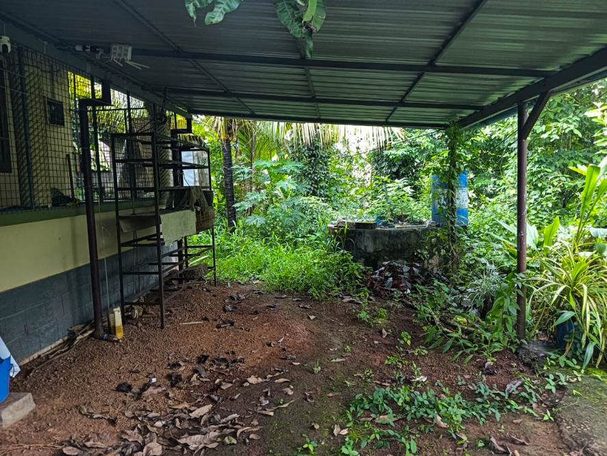 Individual House for sale in Kottarakkara — photo 25