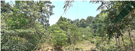 LAND ONLY for sale in Pathanamthitta — photo 2