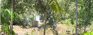LAND ONLY for sale in Pathanamthitta — photo 3