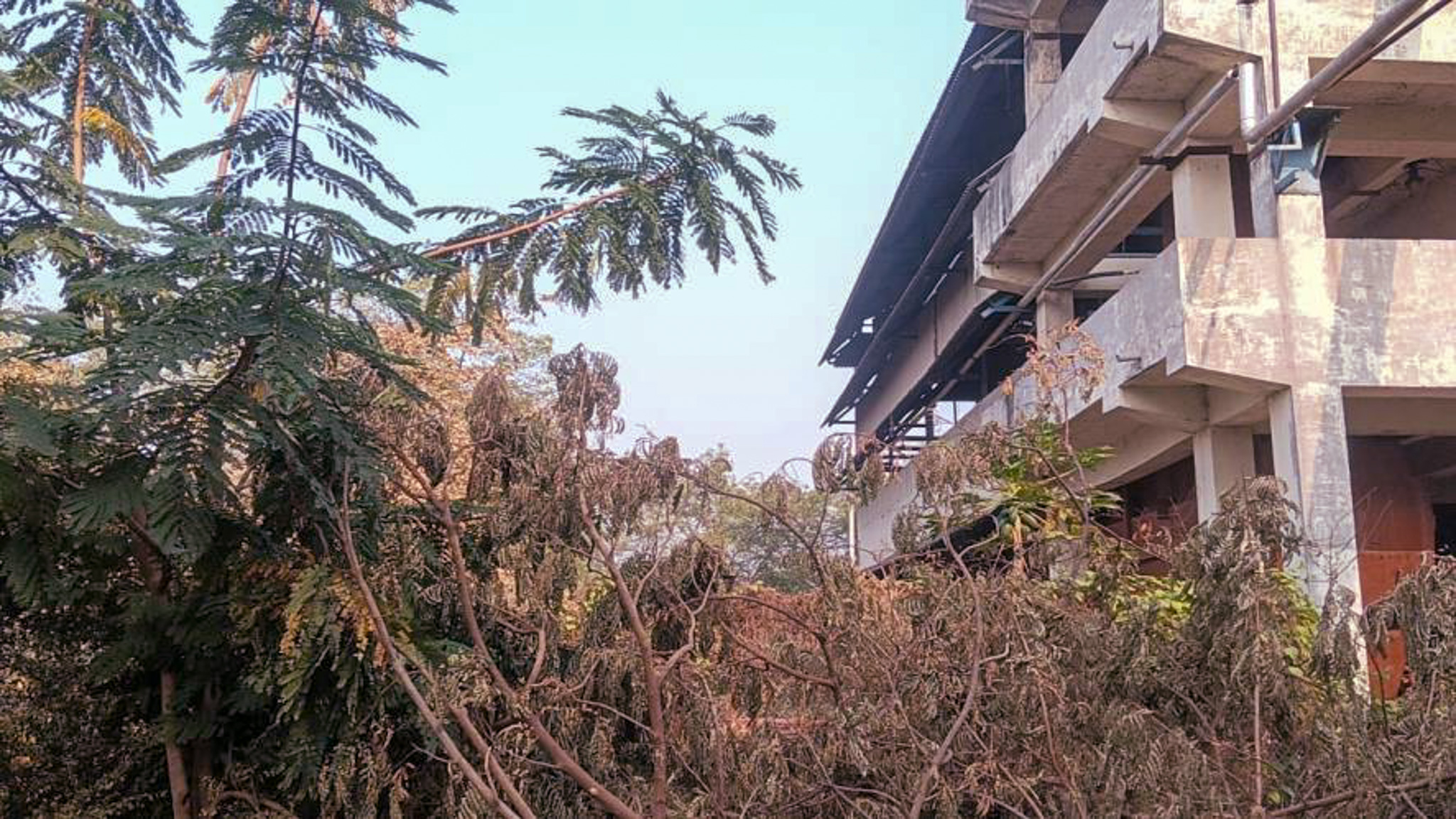 42146 square meter Industrial Plot with Factory Building for sale in Village Salajda, Bavla Dholka Road,  Bavla Bavla — photo 7