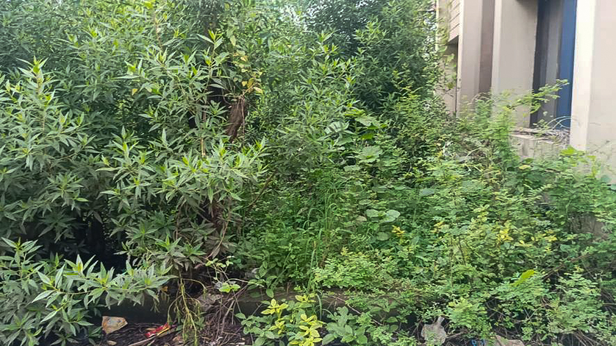 Individual House for sale in Surat — photo 13