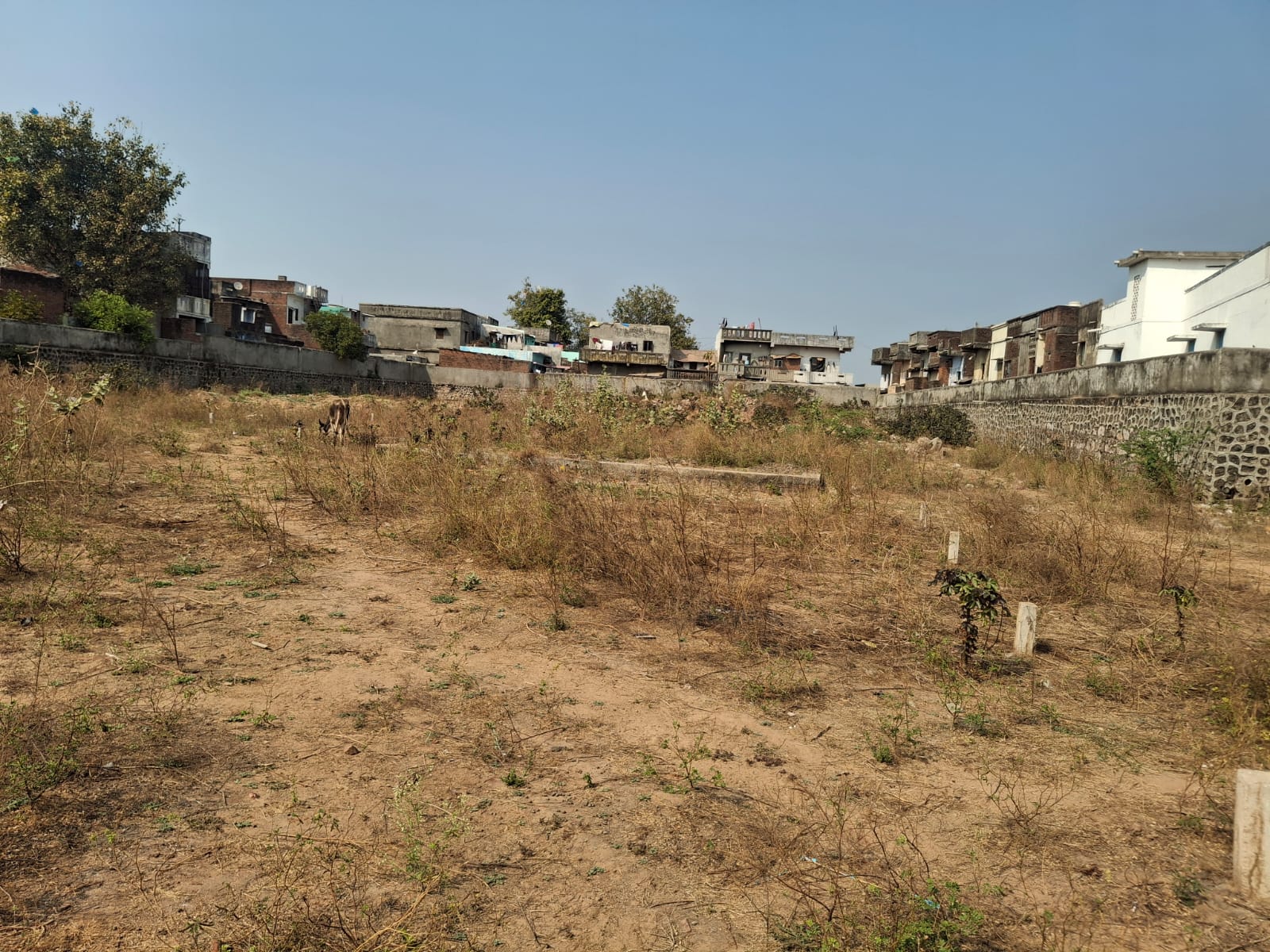 90.48 square meter Plot for sale in VIJAPUR Ranasan Industrial Area — photo 3