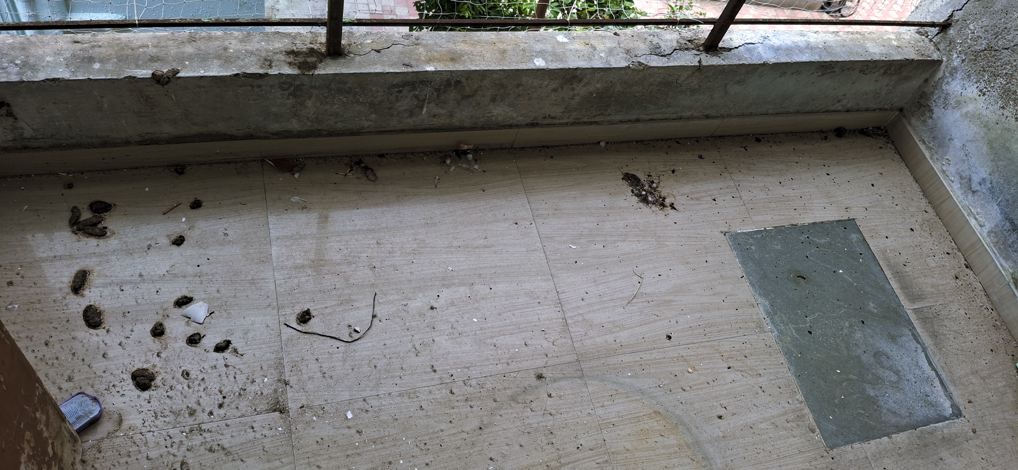 2 BHK Flat for sale in Mahavir vatika, VADODARA Vadodara — photo 17