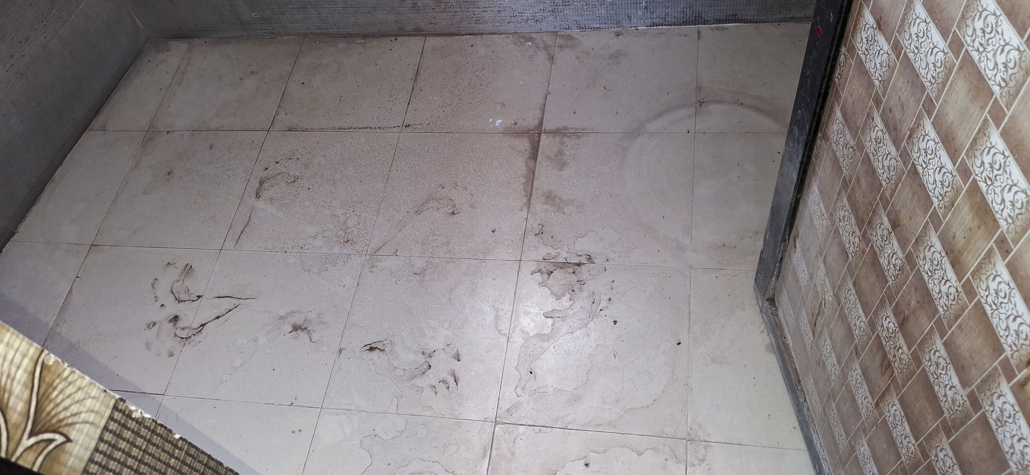 35 square meter Flat for sale in VADODARA Vadodara — photo 5