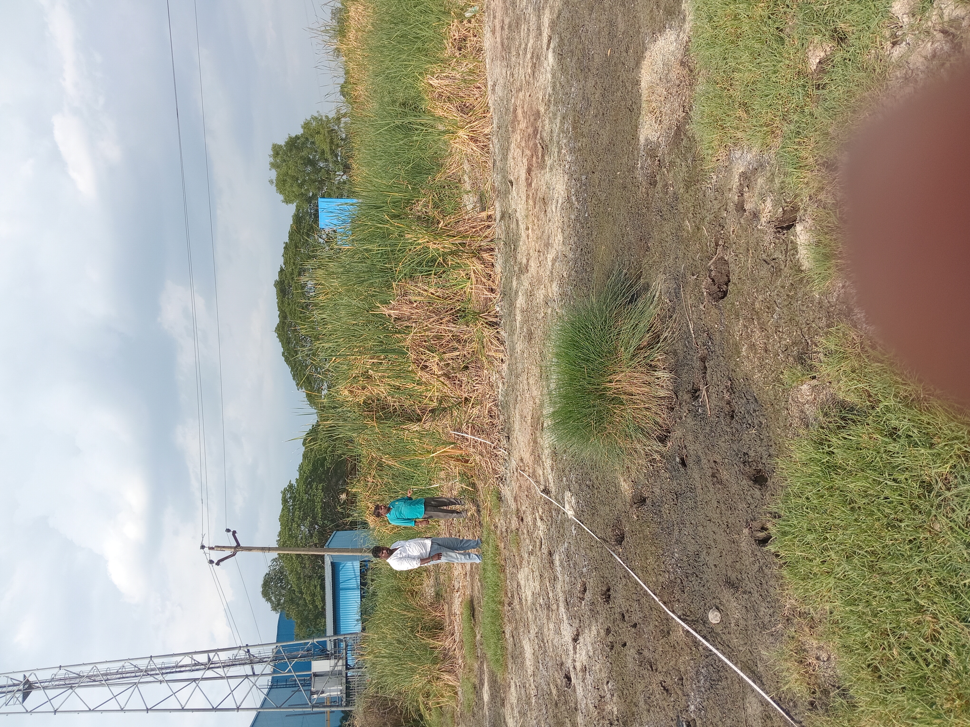 4800 square feet Plot for sale in Mevalurkuppam — photo 3