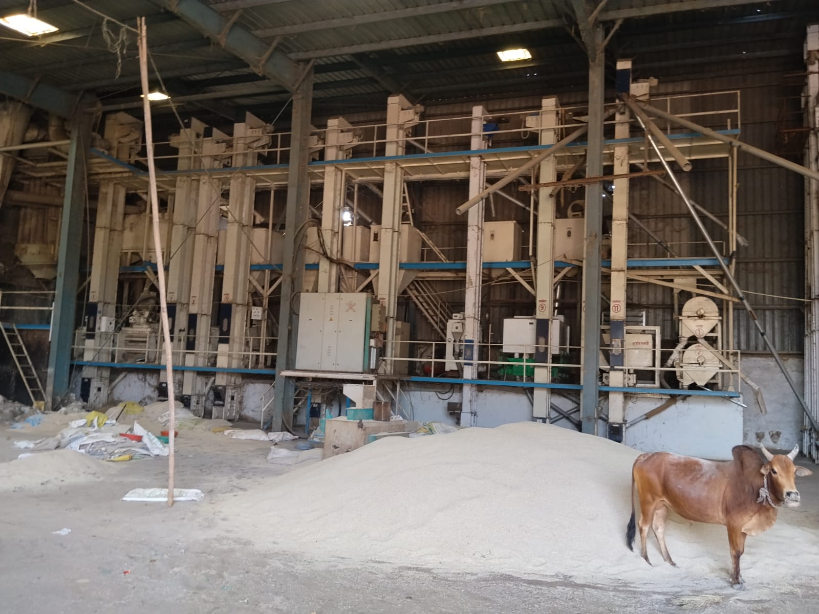 Industrial Plot with Factory Building for sale in Newdha Tilda — photo 2