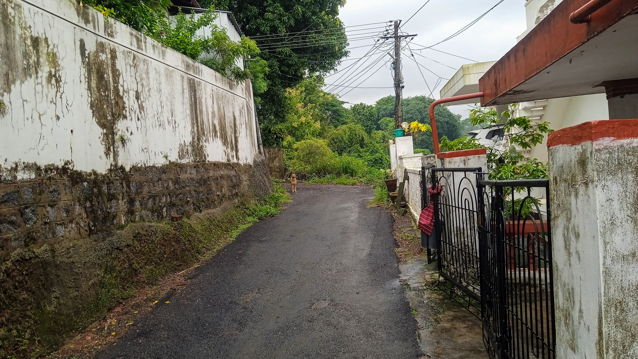 Individual House for sale in Maroli village of Mangalore Taluk Mangaluru — photo 1