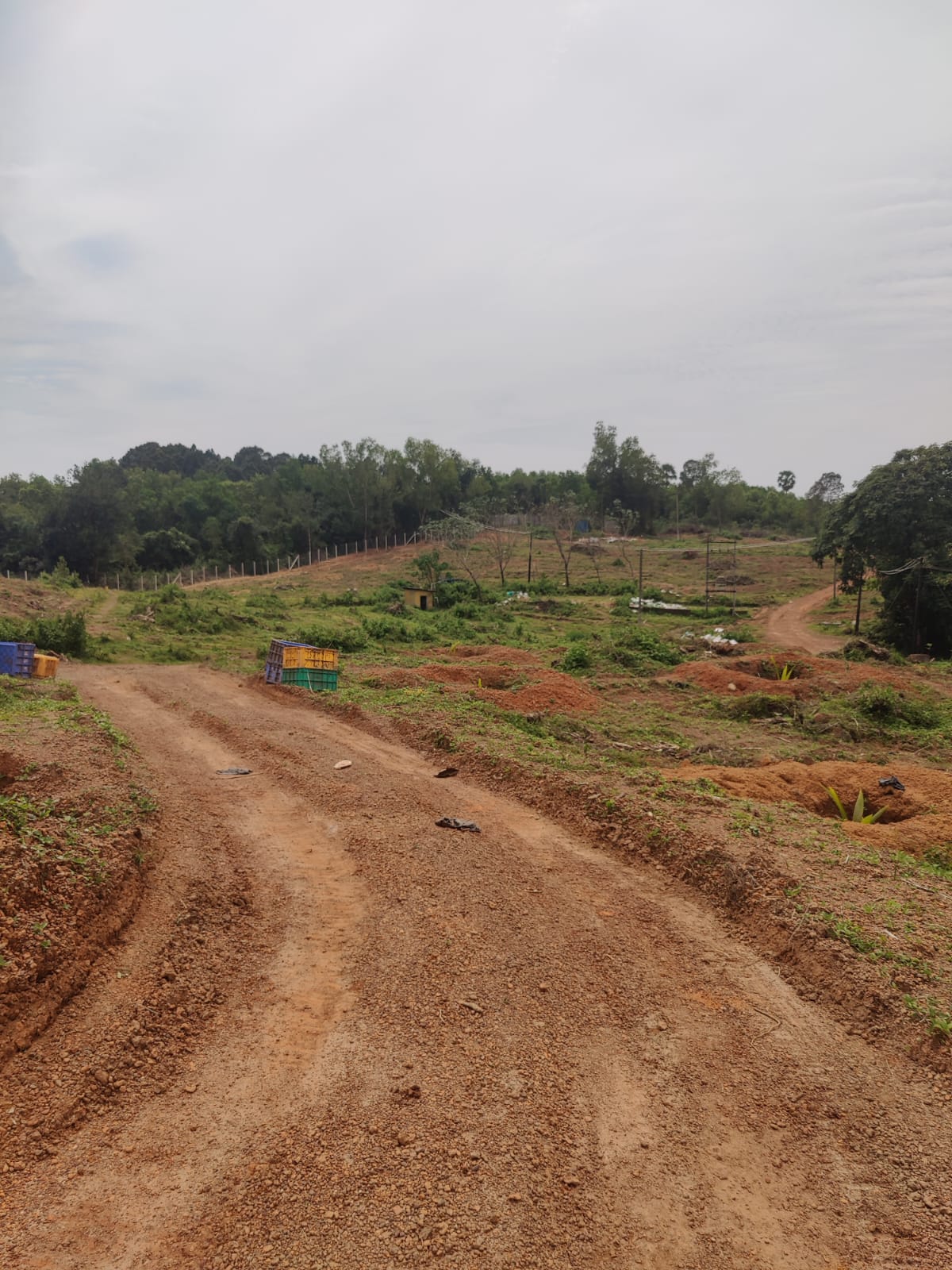 Plot for sale in Alevoor — photo 3