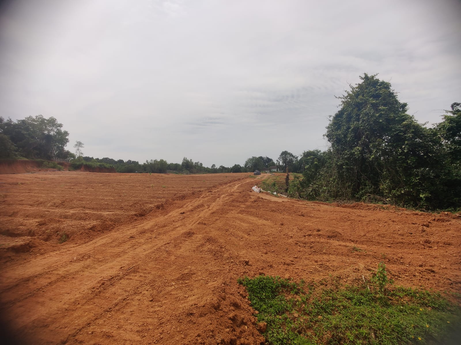 Plot for sale in Alevoor — photo 2