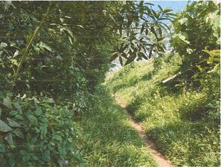1 square meter Plot for sale in Angamaly — photo 3
