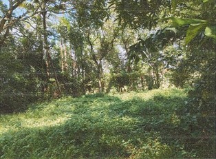 1 square meter Plot for sale in Angamaly — photo 2