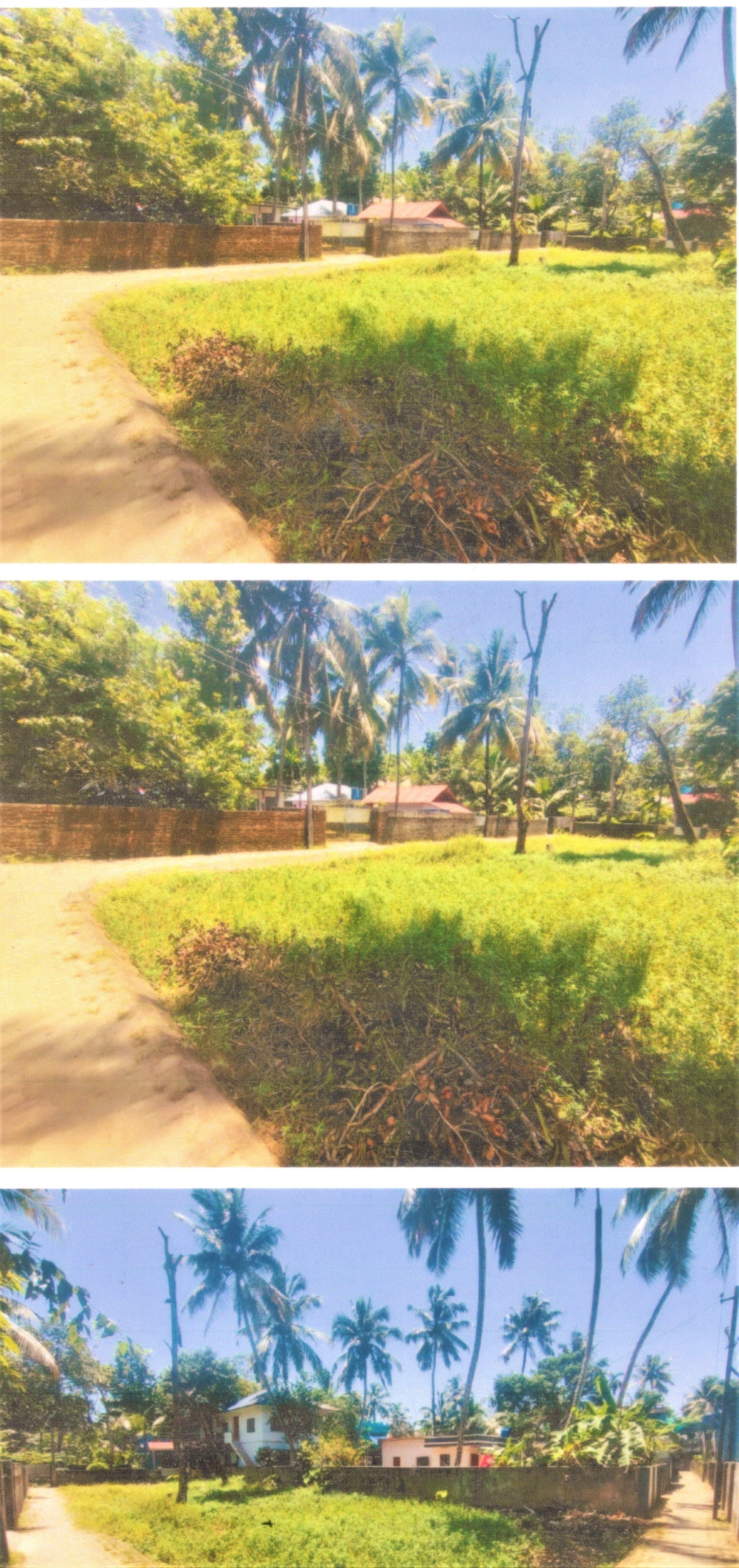 Plot for sale in AROOR VILLAGE, CHERTHALA TALUK, ALAPPUZHA DISTRICT Kochi — photo 2
