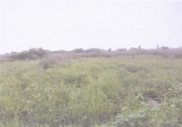 Plot for sale in TAMBARAM Chennai — photo 2