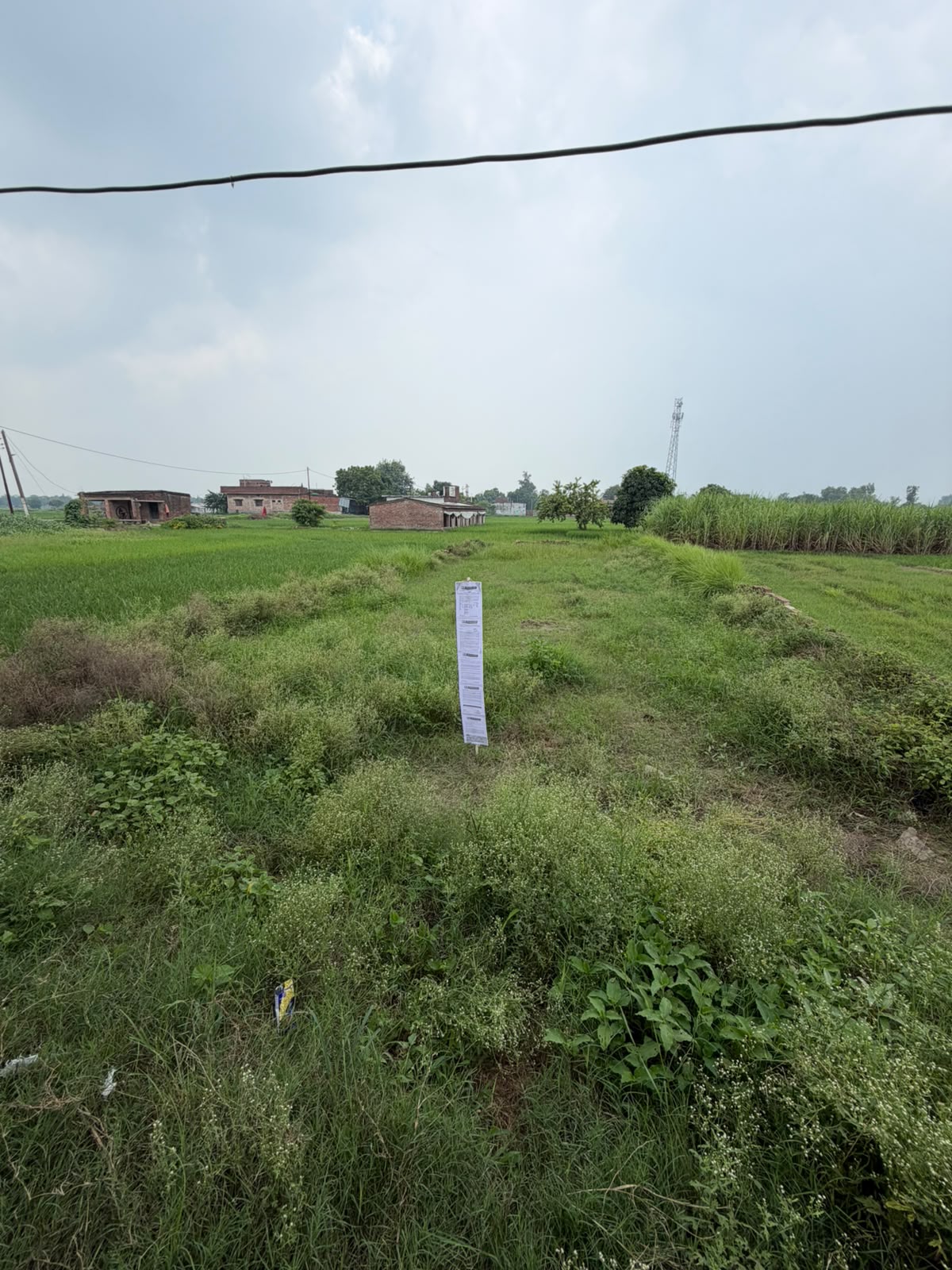 226.8 square meter Plot for sale in Mau Mau — photo 2