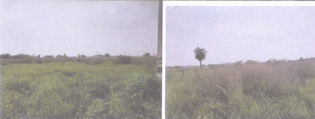 Plot for sale in TAMBARAM Chennai — photo 3