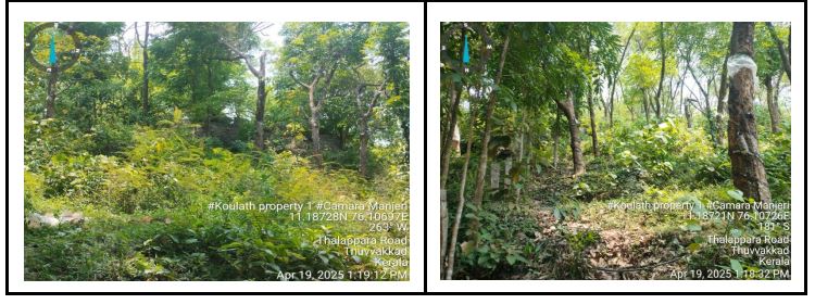 VACANT LAND for sale in Perakamanna Village, Ernad taluk Malappuram district Cheriyamundam — photo 1