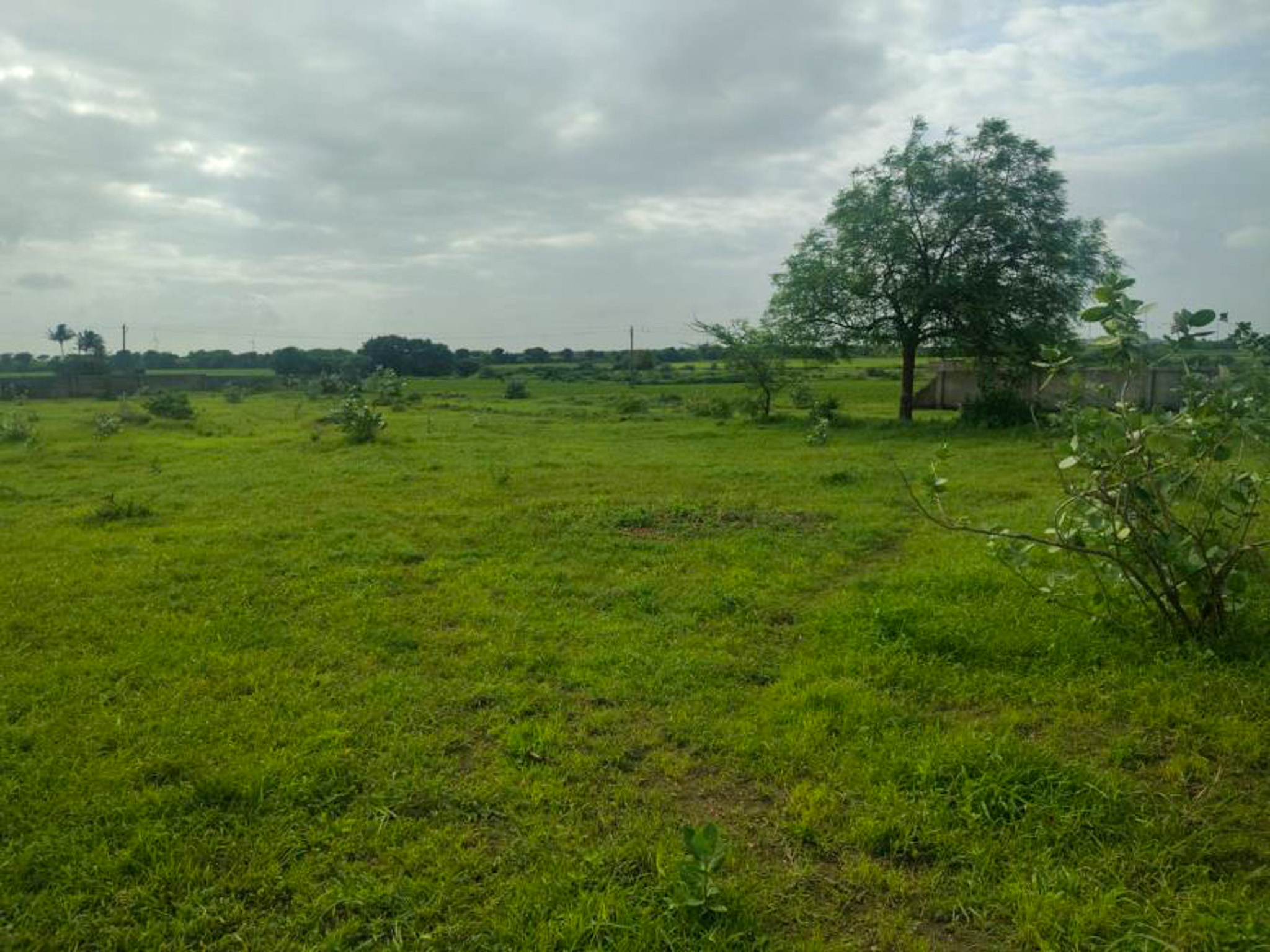 Individual House for sale in JAMNAGAR Jamnagar — photo 4