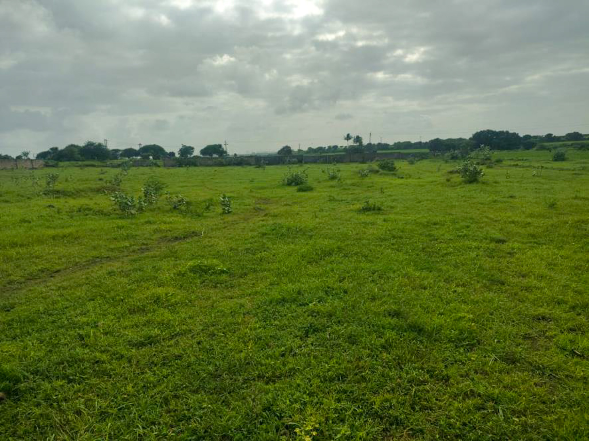 Individual House for sale in JAMNAGAR Jamnagar — photo 3