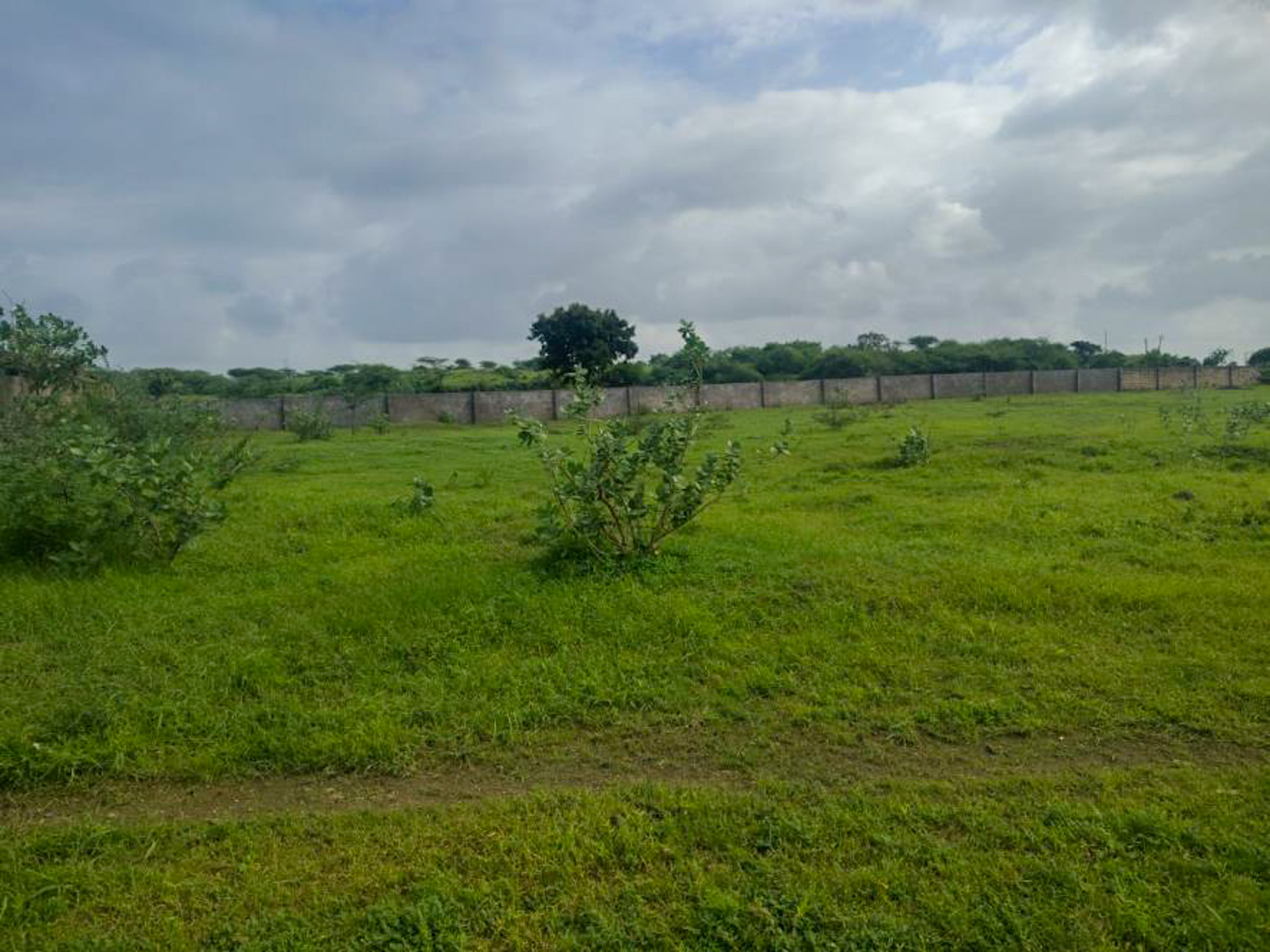 Individual House for sale in JAMNAGAR Jamnagar — photo 2